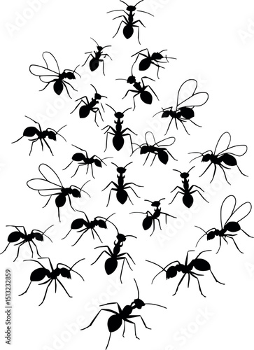 Flying ant swarm in V formation – scientific vector silhouette