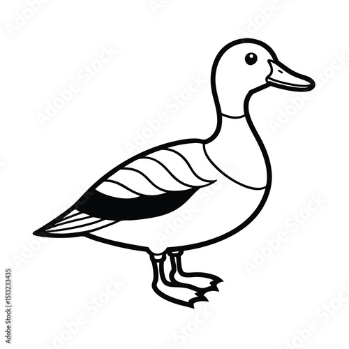  billed teal sketch vector