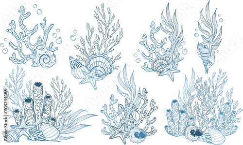 Collection of vector clip art with coral reef and seaweed and sea shells for design.