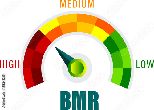 Basal Metabolic Rate BMR Evaluation Tool Vector Illustration with Caloric Burn Rate Spectrum from Low to High vector on transparent background