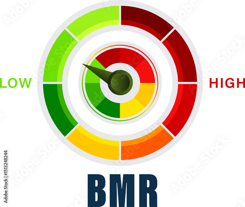 Basal Metabolic Rate BMR Evaluation Tool Vector Illustration with Caloric Burn Rate Spectrum from Low to High vector on transparent background