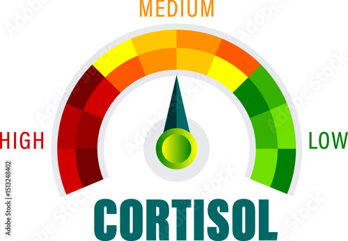 Cortisol Level Indicator Vector Illustration with Visual Spectrum from Low to High for Stress and Health Monitoring vector