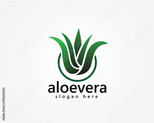 aloe vera beauty logo, green aloe vera tree logo design inspiration