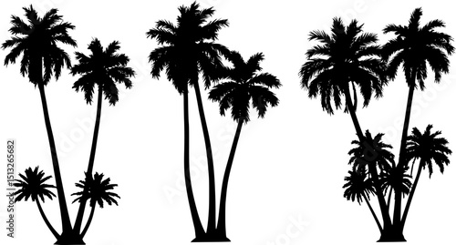 black palm tree set on white background, palm silhouette, palm tree design for posters, banners and promotions
