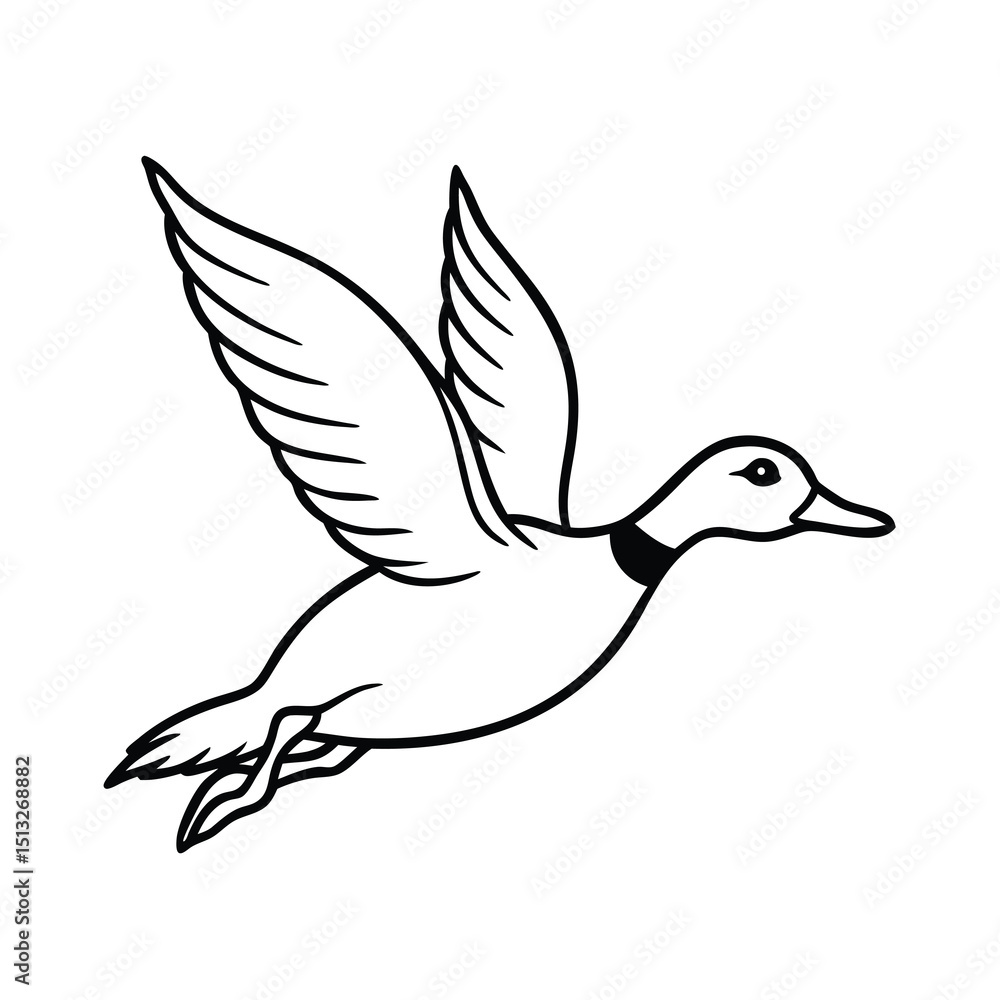 Obraz premium flying billed teal sketch vector