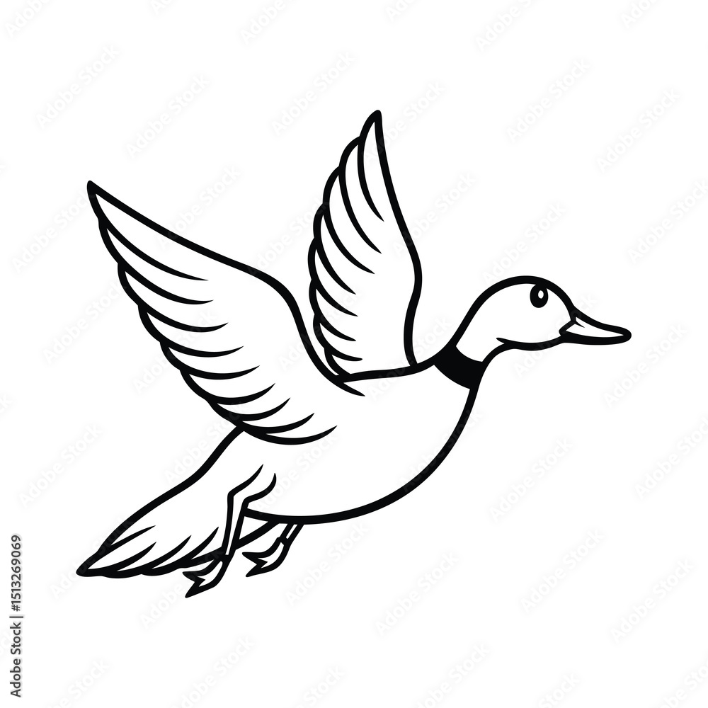 Obraz premium flying billed teal sketch vector