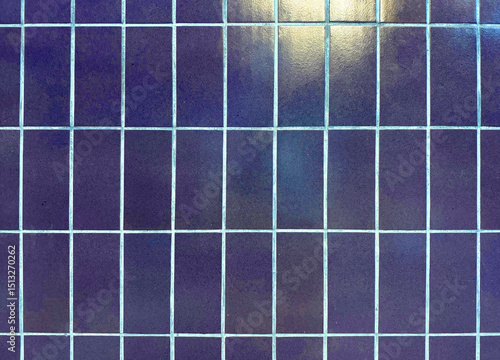 This close-up shot showcases a grid of dark blue, vertically-oriented rectangular tiles with light gray grout lines, creating a clean and somewhat industrial or modern aesthetic.
