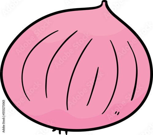 Illustration of onion
