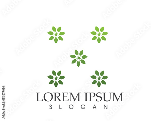 leaf green nature logo and symbol template Vector