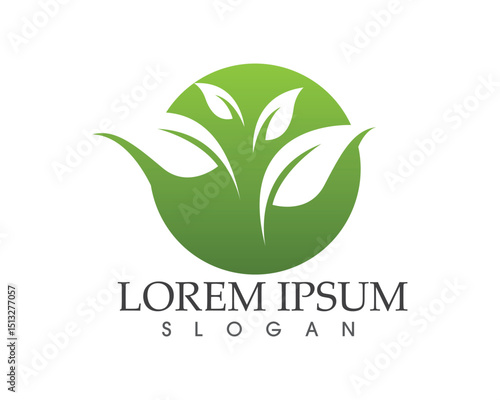 leaf green nature logo and symbol template Vector