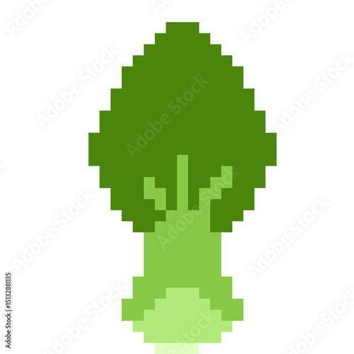 Pixel Art of Bok Choy Vegetable