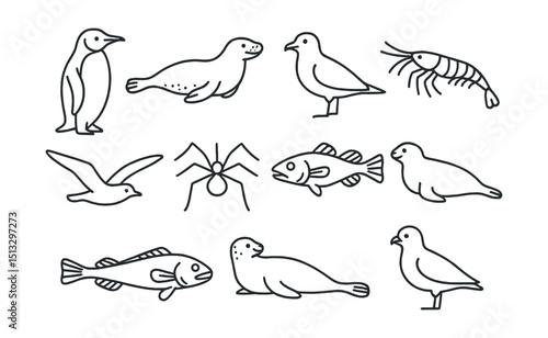 Line style icons of animals of Antarctica: emperor penguin, leopard seal, skua, krill, petrel, sea spider, icefish, Antarctic cod, Weddell seal, snow petrel.