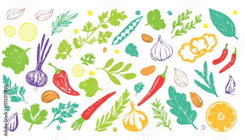 Spice vector. Sketch crayon vegetable illustration. Food and herb, ginger parsley rosemary basil garlic paprika pepper arugula olive doodle icon. Spice watercolor or crayon leaf. children, leaf, brush