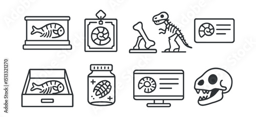 Line style icons of fossil preparation and museum items: fossil display case, fossil frame tag, bone reconstruction model, articulated skeleton, fossil label card, museum drawer, preservation fluid