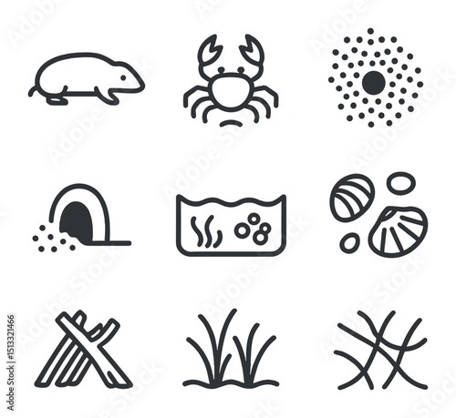 Coastal Burrow Dwellers Icons. Outline icon set of coastal burrow dwellers: beach mole, ghost crab hole, sand bubbler disc, burrow