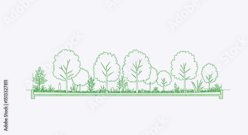 Minimal CAD tree line drawing, side view, architectural section, clean outline symbols for landscape design