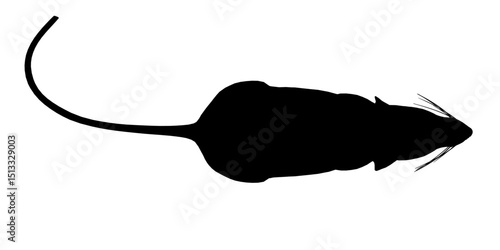A black and white image of a mouse silhouette. The mouse is laying on its side and has a long tail. Top view