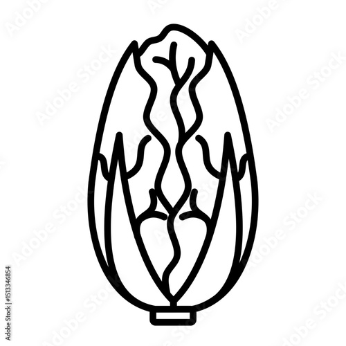 napa cabbage icon