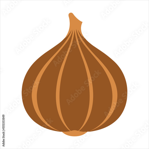 onion isolated on white background