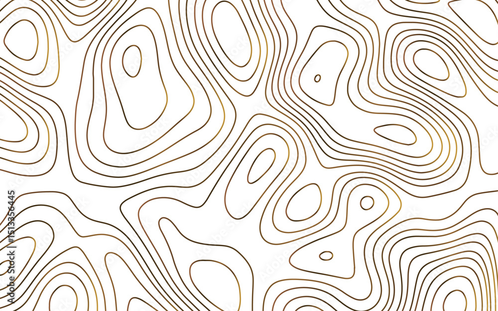 Fototapeta premium Abstract background vector and topographic patter line map background. silver line topography map contour background, geographic grid. Abstract gray topography contour map background design. 