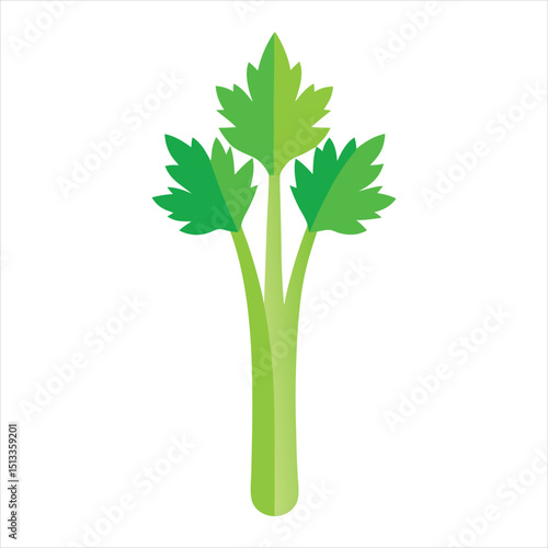 bunch of parsley