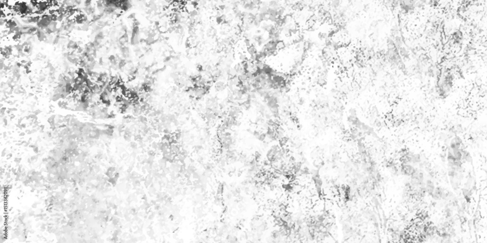 Abstract grunge black and white distressed texture background.dirt overlay or screen effect use for grunge and vintage image style.Background of cracks, scuffs, chips, stains, ink spot Abstract grunge black and white distressed texture background.dirt overlay or screen effect use for grunge and vintage image style.Background of cracks, scuffs, chips, stains, ink spot