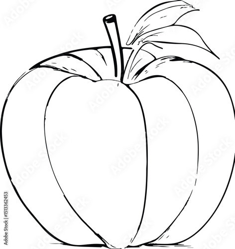 vector illustration of an apple isolated on white