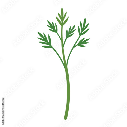 Wallpaper Mural bunch of rosemary Torontodigital.ca