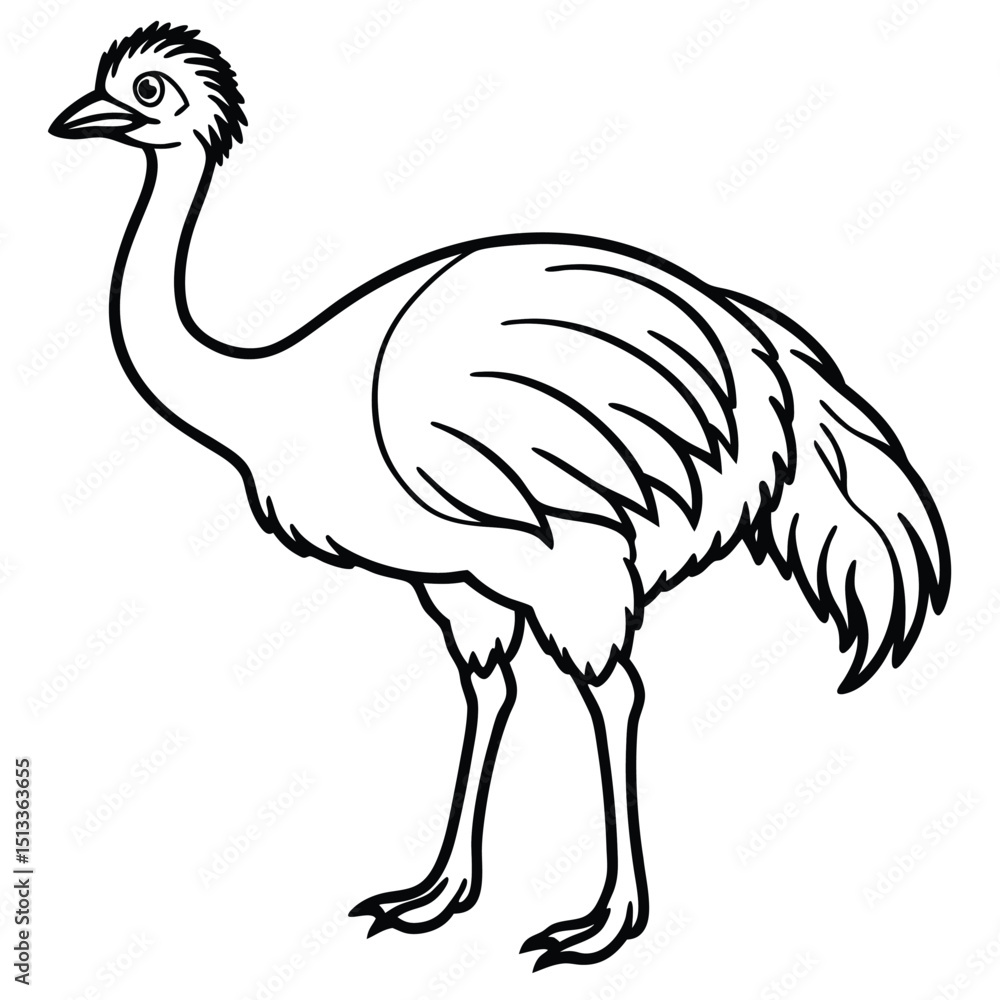 Cartoon vector illustration of a cute ostrich bird isolated on white background Cartoon vector illustration of a cute ostrich bird isolated on white background