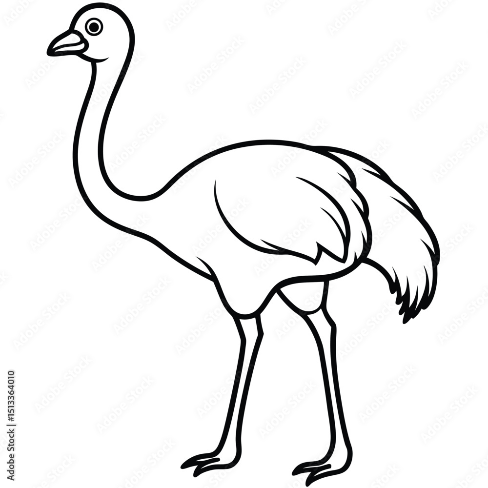 vector illustration of an ostrich vector illustration of an ostrich