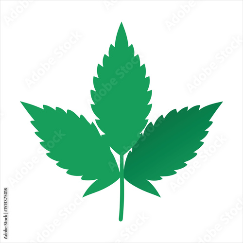 cannabis leaf vector illustration