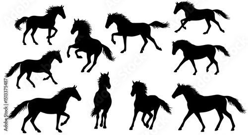 Set of horse silhouettes isolated on transparent background