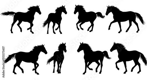 Set of horse silhouettes isolated on transparent background
