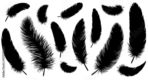 Collection of black feather silhouettes isolated on transparent background