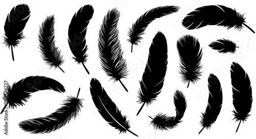 Collection of black feather silhouettes isolated on transparent background