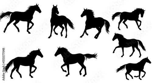 Set of horse silhouettes isolated on transparent background