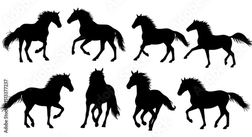 Set of horse silhouettes isolated on transparent background
