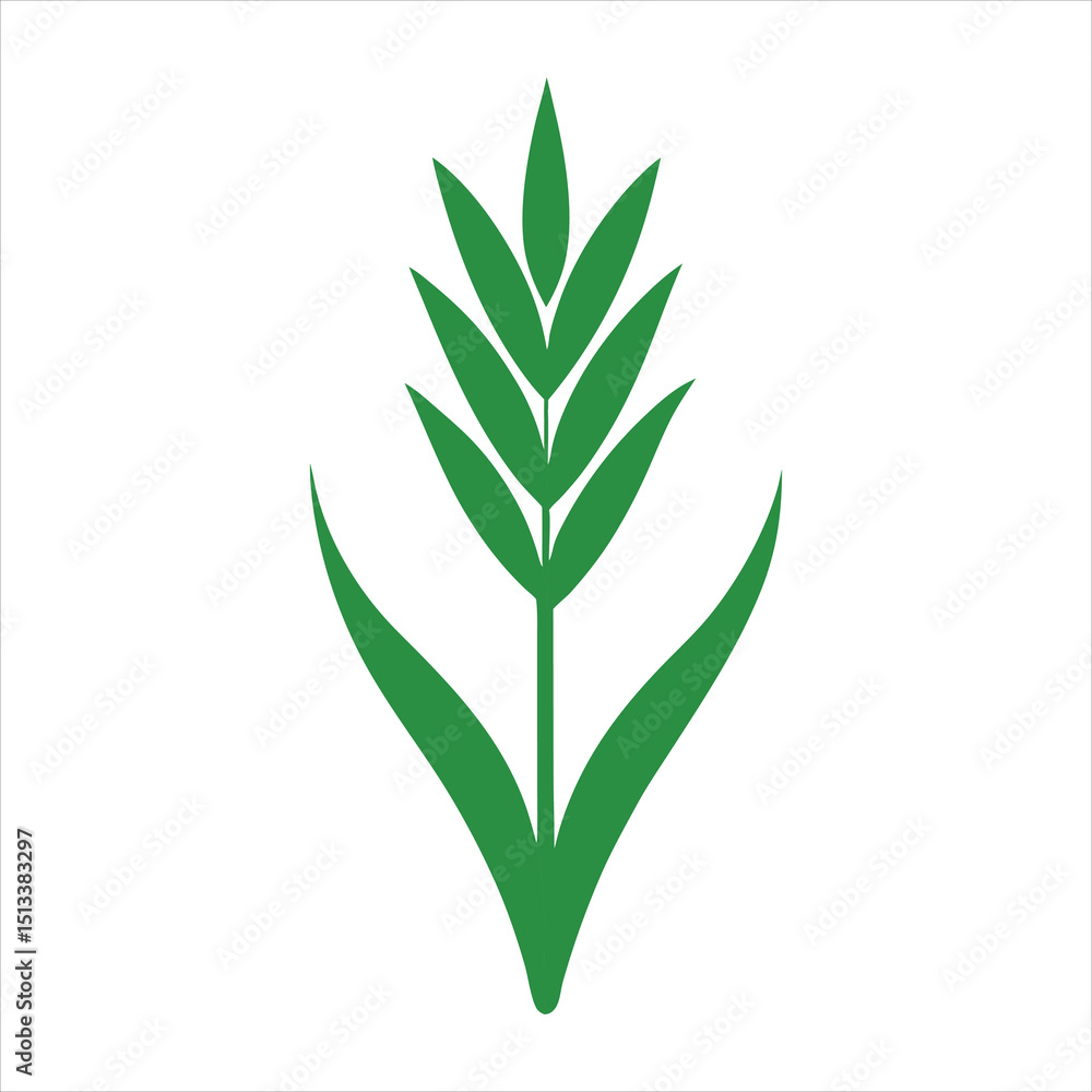 Fototapeta premium green plant isolated on white