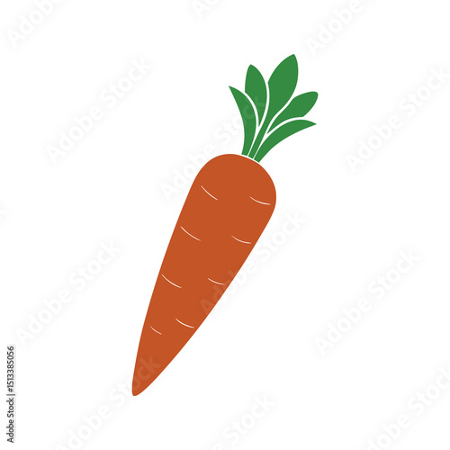 carrots vector illustration