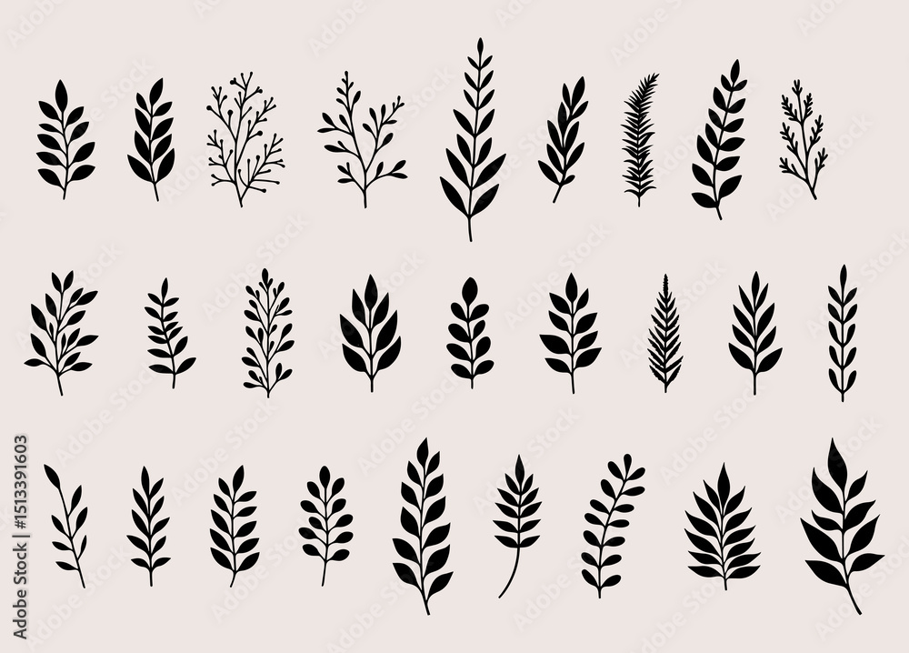 Fototapeta premium Vector illustration. Twigs leaves plants set