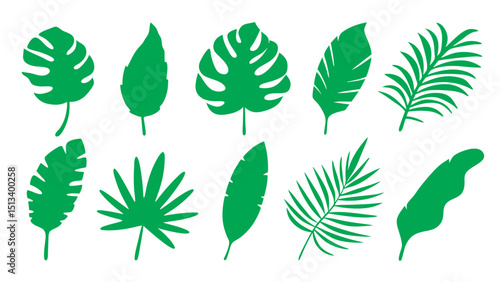Green tropical different type  leaves set.