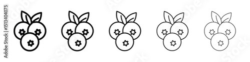 Blueberry icon Outline and flat style designs