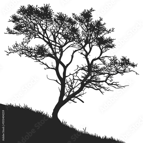 blackthorn silhouette vector