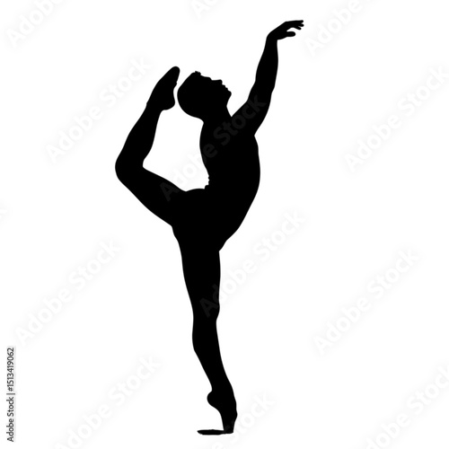 Male dancer performing a graceful pose in silhouette  