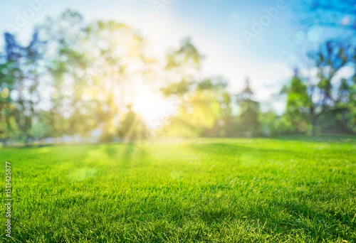 natural grass in park and trees background with blurred bokeh and sun rays