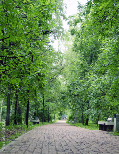 the road in the park