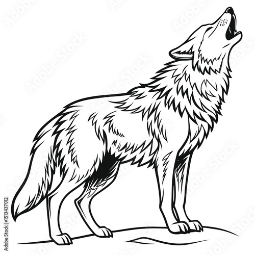 Black and white wolf vector illustration
