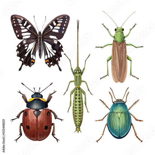 vector collection of beetle