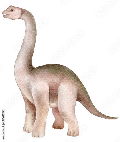 Photos Watercolor artwork of a brontosaurus variant on white background