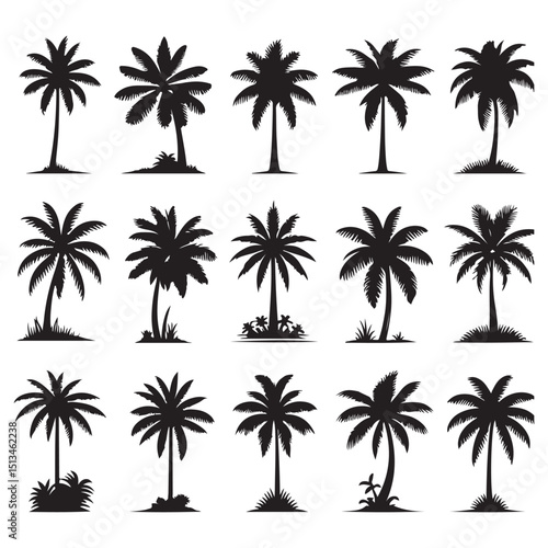 Collection of Palm Tree Silhouettes 18 High-Quality Vector Illustrations for Design Projects